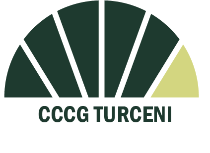 Logo specific pentru pagină